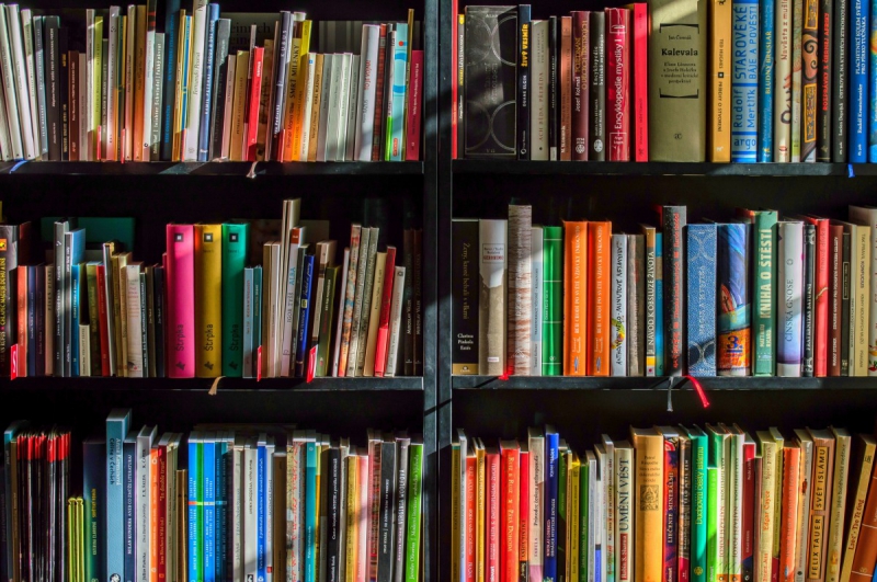 vitrine-LA MOTTE-min_books_bookstore_book_reading_shop_writer_sale_books_read-822866