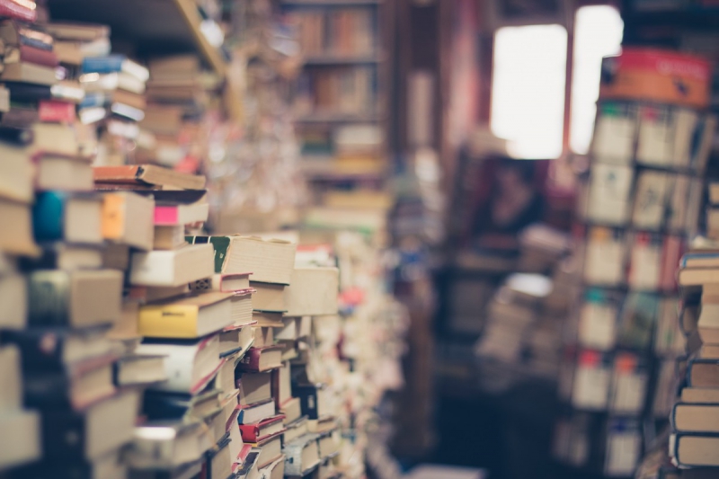 vitrine-LA MOTTE-min_books_stack_book_store_stack_of_books_2nd_hand_retro_hipster_shop-829090